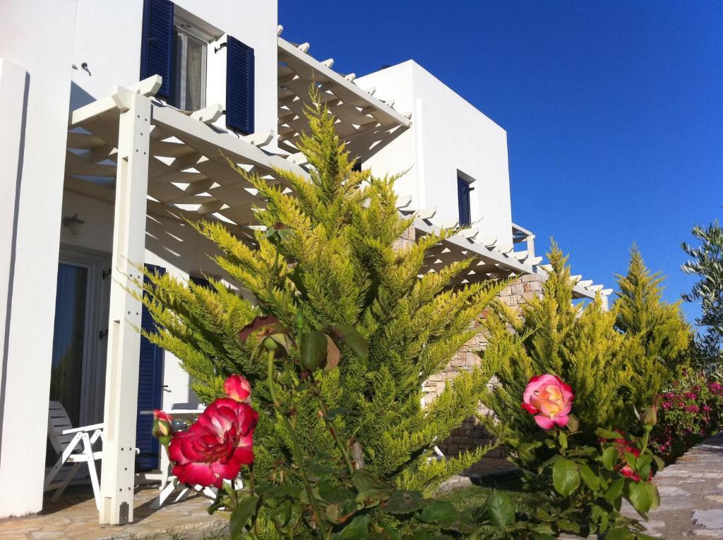 Elea Apartments Kalamos  Zimmer foto